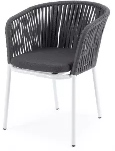    ,   , /