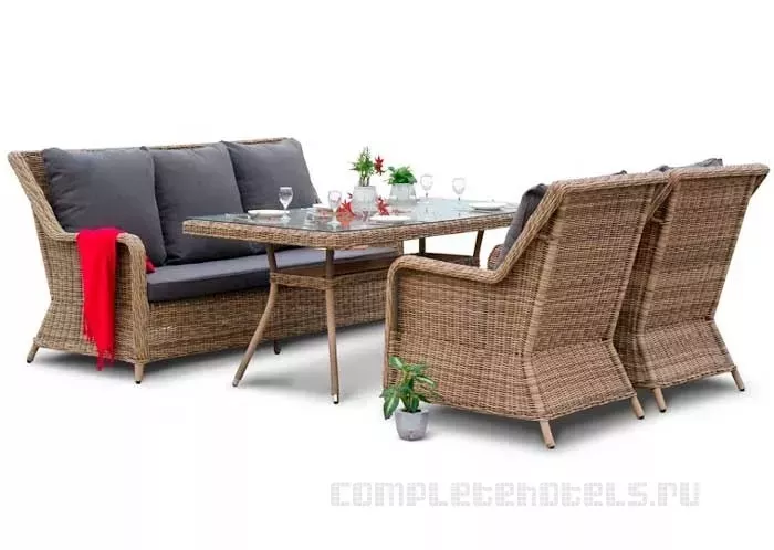 Обеденные группы из искусственного ротанга купить