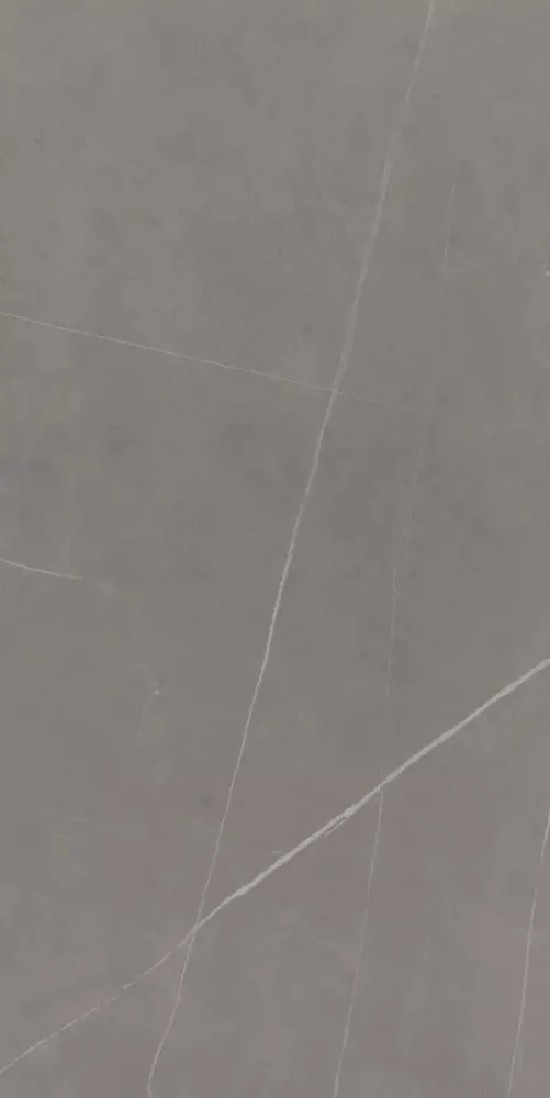 ������� ������ �� ��������, ����, ���������� �������� ���������