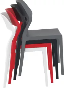 ���� ����������� ������������ �������� ������-�����